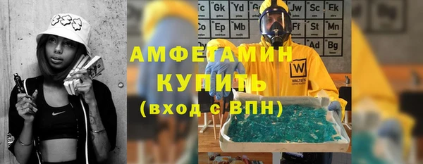 стаф Алзамай