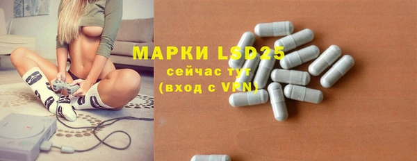 гидра Абаза