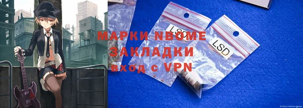 стаф Алзамай