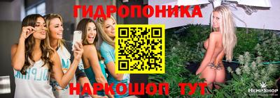 стафф Апшеронск