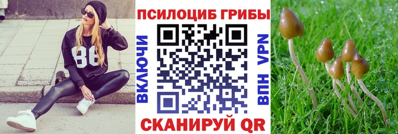 OMG зеркало  Белореченск  Галлюциногенные грибы MAGIC MUSHROOMS  купить  
