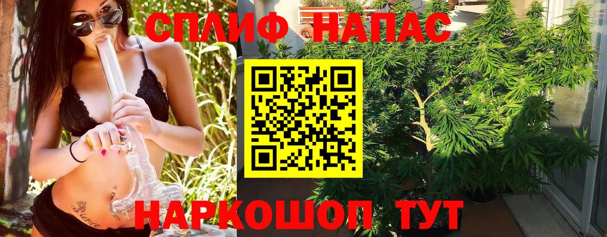 Бошки марихуана конопля Белореченск
